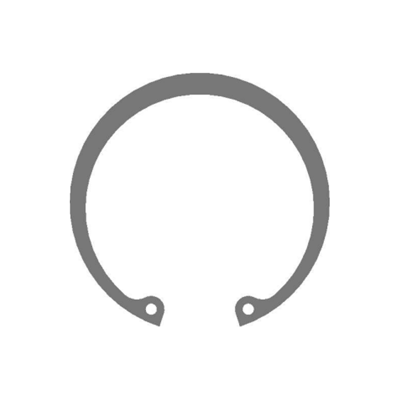 Interne circlips
