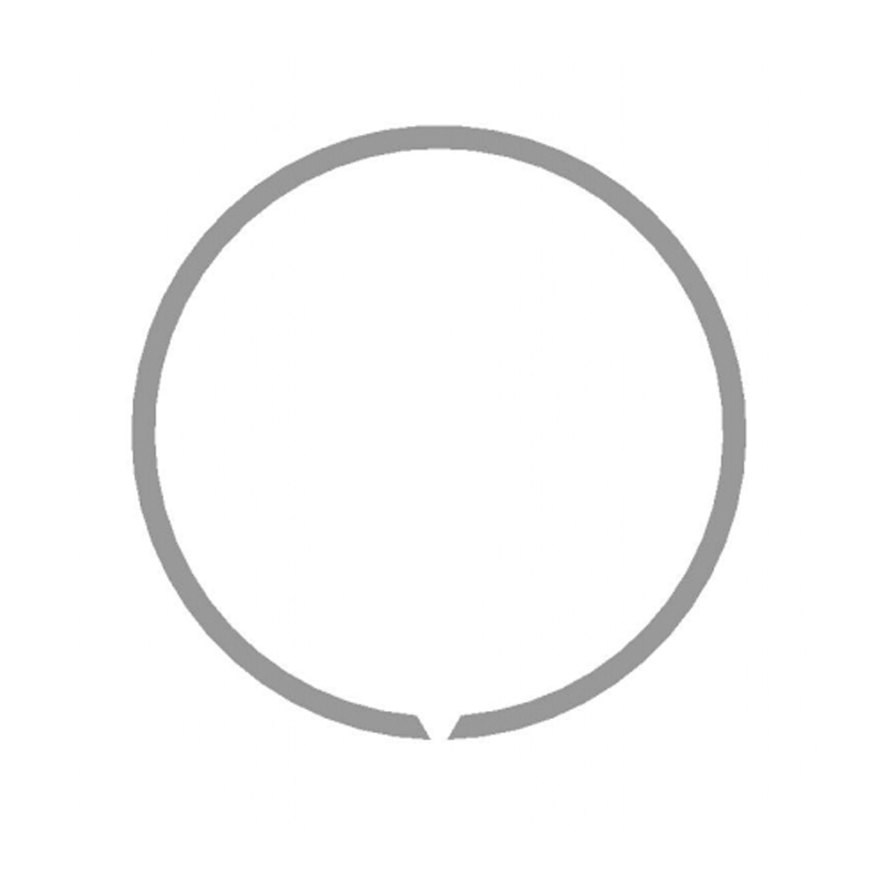 Snap ringen